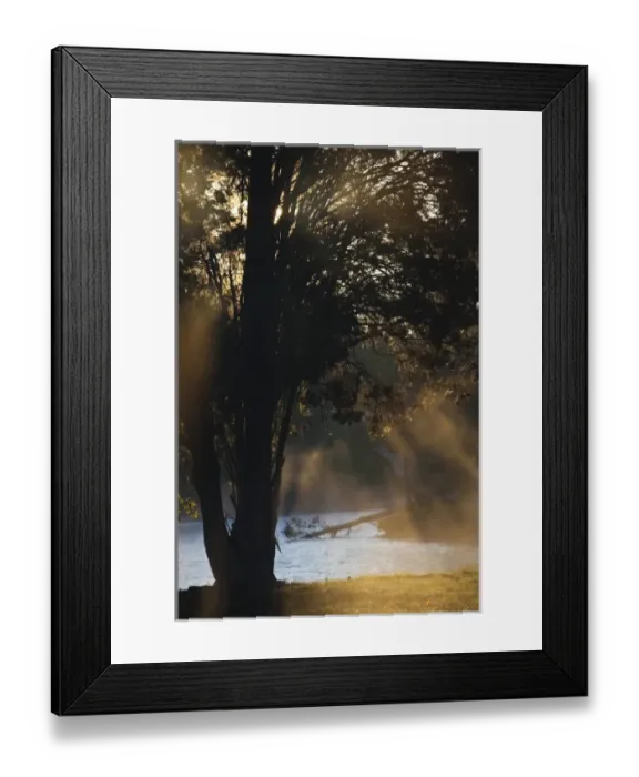 Framed Print : USA, North America, Alabama