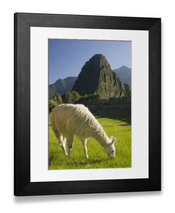 Framed Print : South America, Peru