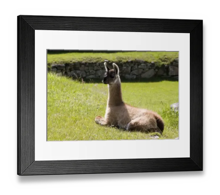 Framed Print : South America, Peru
