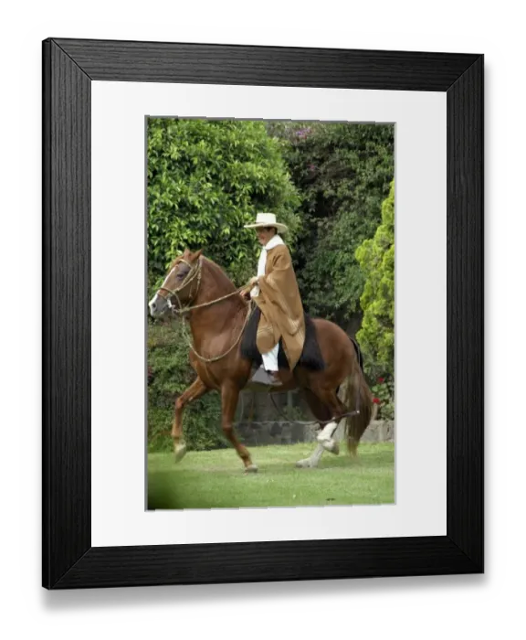 Framed Print : South America, Peru Framed Print : South America, Peru