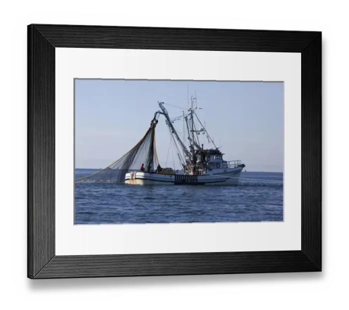 Framed Print : USA, Alaska, Southeast near Ketchikan, seine boats salmon fishing Framed Print : USA, Alaska, Southeast near Ketchikan, seine boats salmon fishing