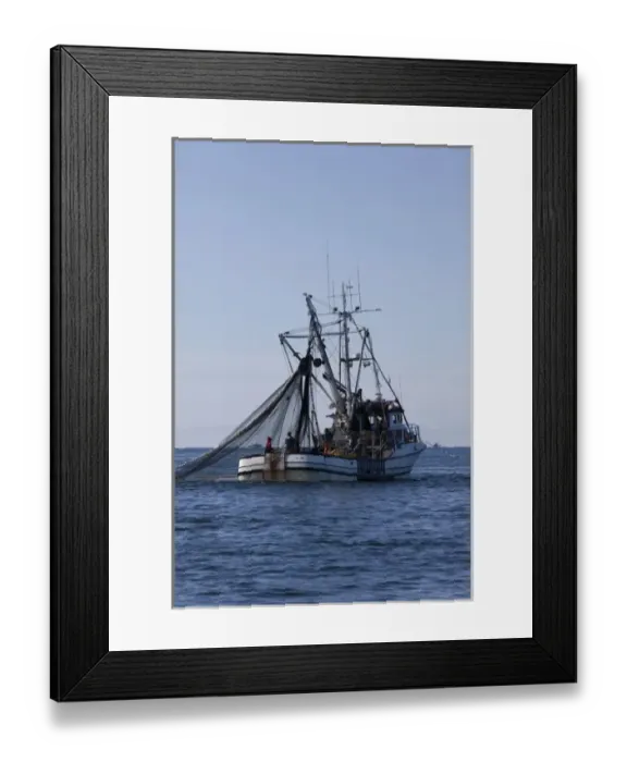 Framed Print : USA, Alaska, Southeast near Ketchikan, seine boats salmon fishing