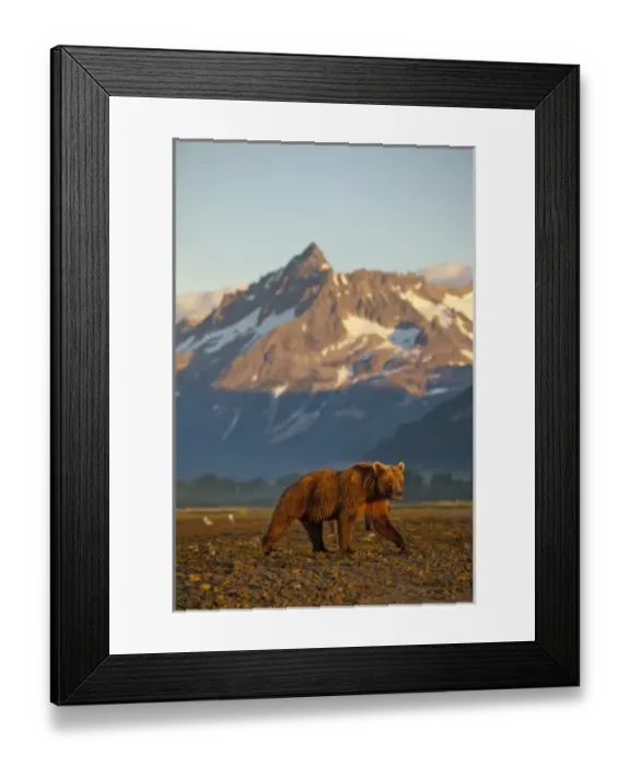 Framed Print : USA, North America, Alaska