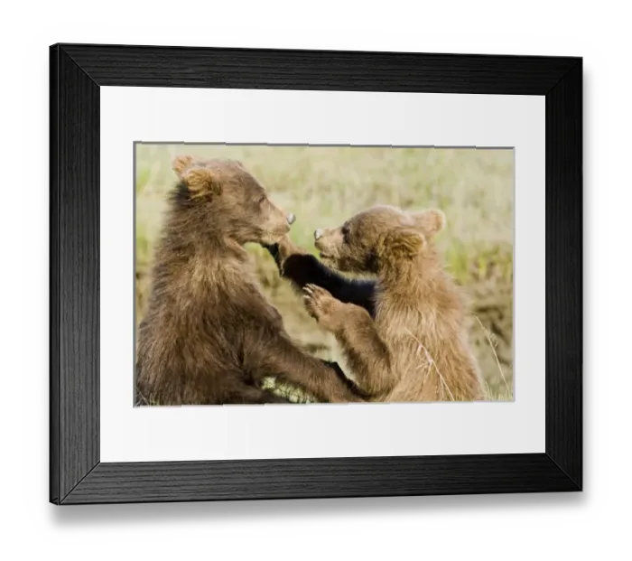 Framed Print : USA, North America, Alaska