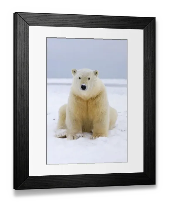 Framed Print : USA, North America, Alaska