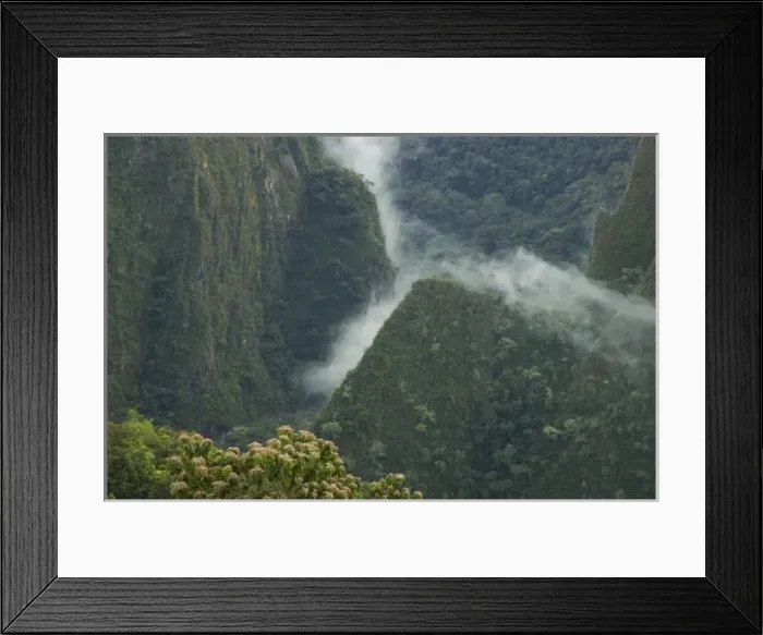Framed Print : view of forest and mist from Machu Picchu, ruins of Inca city, Peru Framed Print : view of forest and mist from Machu Picchu, ruins of Inca city, Peru