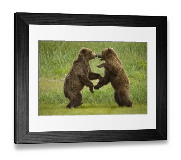 Framed Print : USA, North America, Alaska Framed Print : USA, North America, Alaska