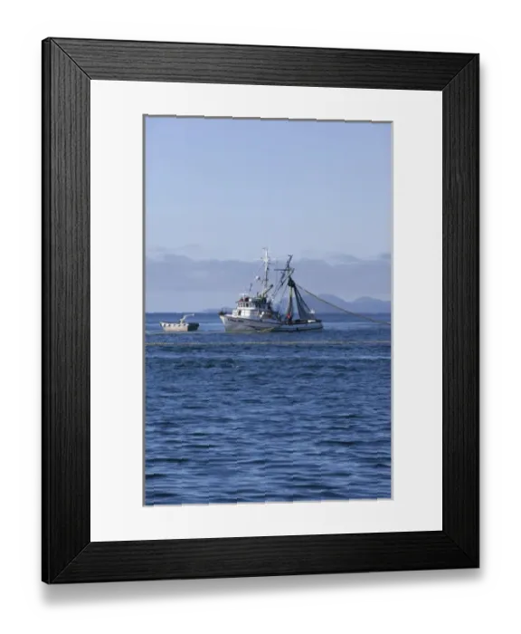 Framed Print : USA, Alaska, Southeast near Ketchikan, seine boats salmon fishing