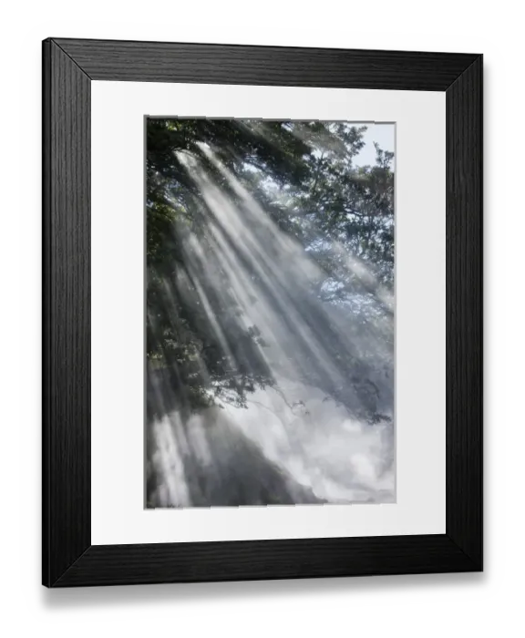 Framed Print : Costa Rica, Guanacaste Province, Miravalles, Steam rises up from fumarole in volcanic Framed Print : Costa Rica, Guanacaste Province, Miravalles, Steam rises up from fumarole in volcanic