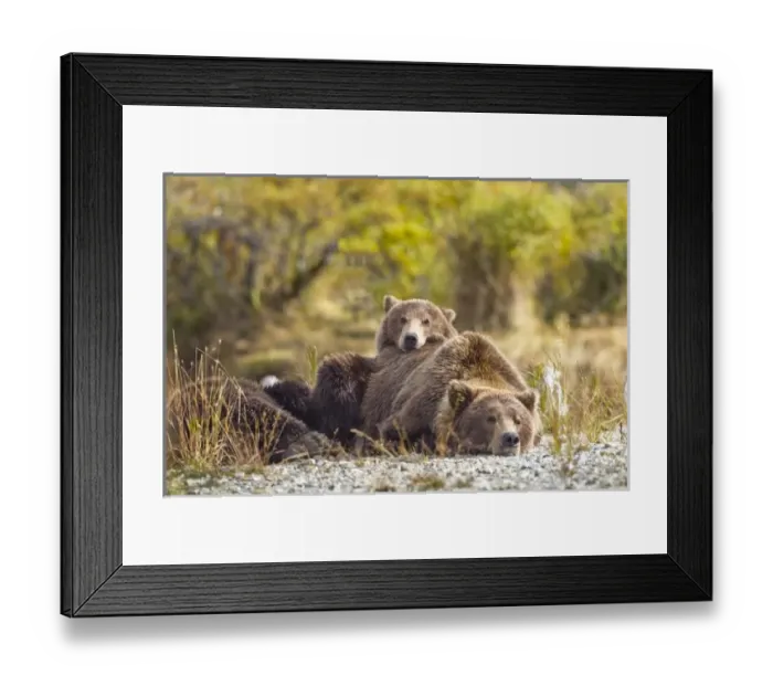 Framed Print : USA, North America, Alaska Framed Print : USA, North America, Alaska