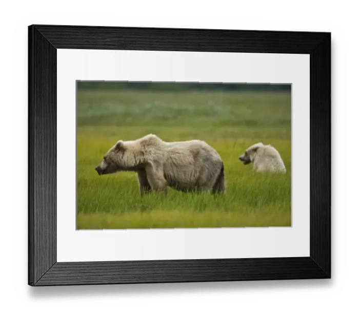 Framed Print : USA, North America, Alaska Framed Print : USA, North America, Alaska
