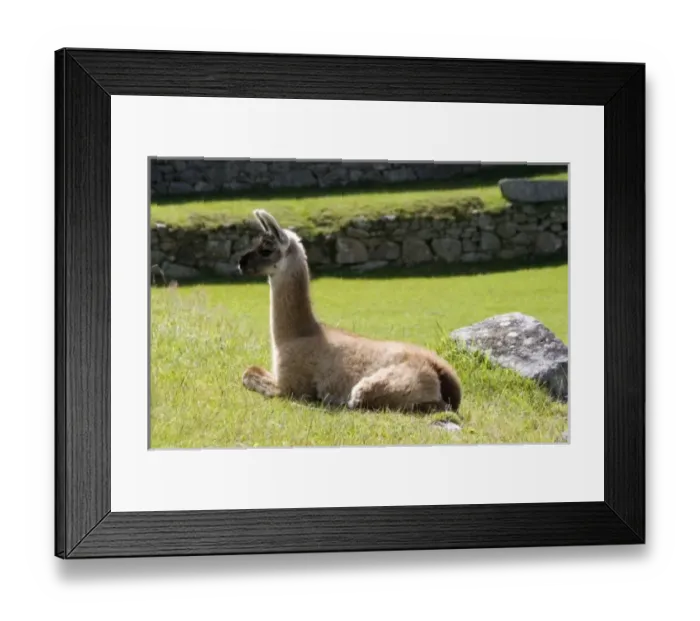 Framed Print : South America, Peru Framed Print : South America, Peru