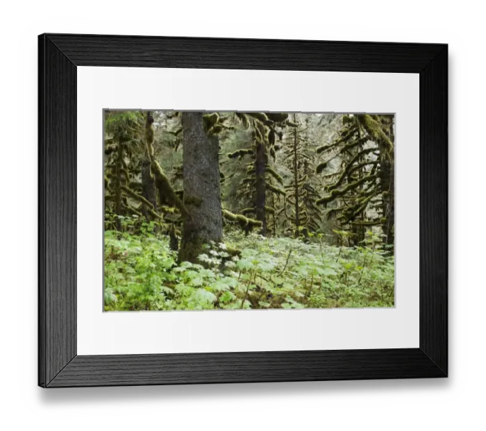 Framed Print : USA, North America, Alaska Framed Print : USA, North America, Alaska