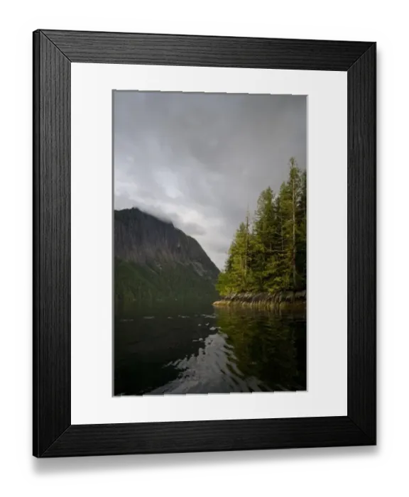 Framed Print : USA, Alaska, Misty Fjords National Monument, Setting sun light rainforest along Rudyerd Framed Print : USA, Alaska, Misty Fjords National Monument, Setting sun light rainforest along Rudyerd