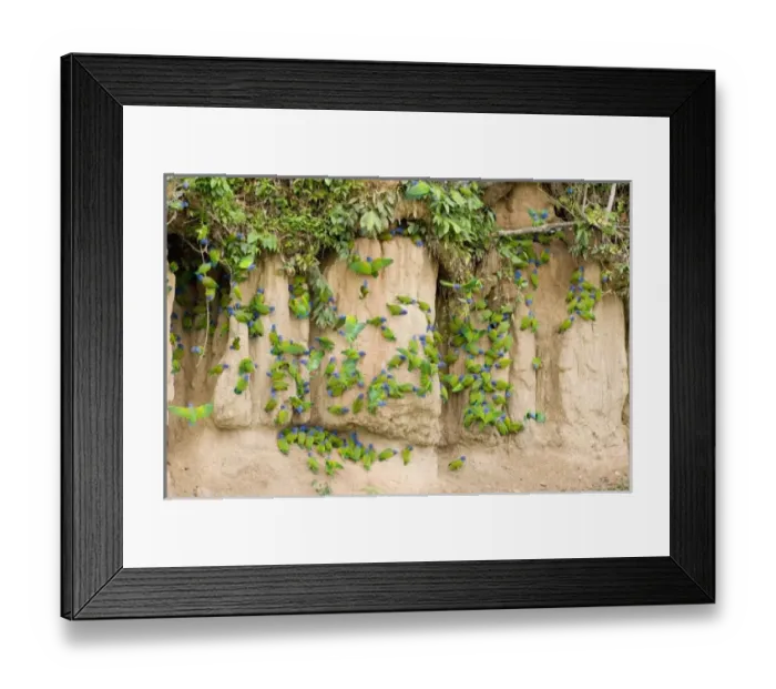 Framed Print : South America, Peru Framed Print : South America, Peru
