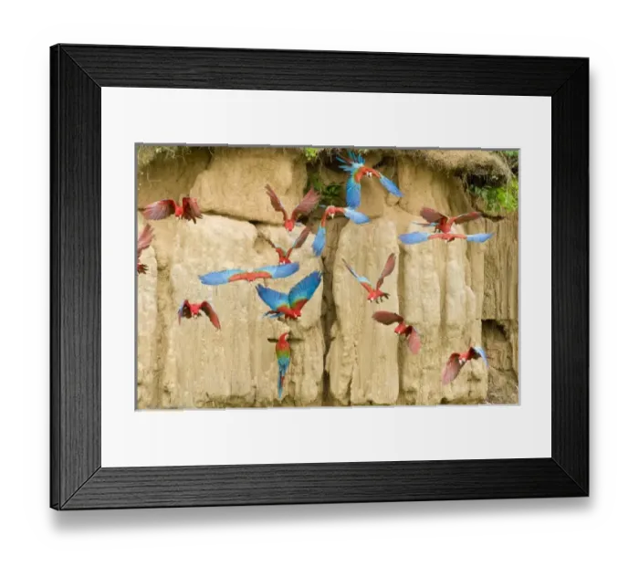 Framed Print : South America, Peru
