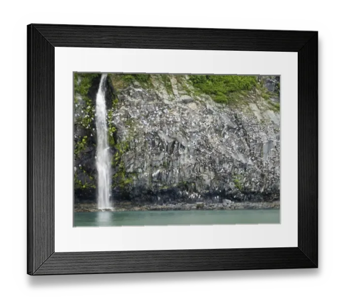 Framed Print : Glacial Waterfall and Black-Legged Kittiwakes on Passage Canal Cliffs near Whittier