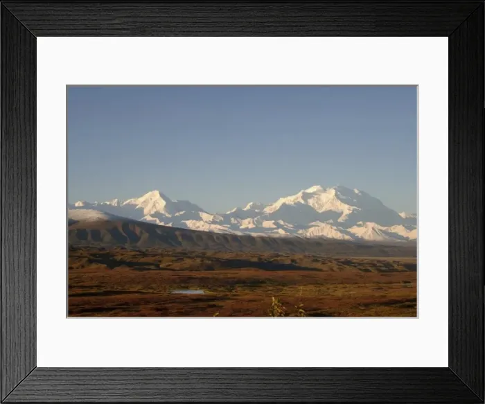 Framed Print : mount McKinley, or Mount Denali, in Denali National Park, interior of Alaska