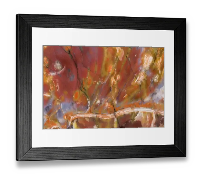 Framed Print : USA, Arizona. Close-up of petrified wood Framed Print : USA, Arizona. Close-up of petrified wood