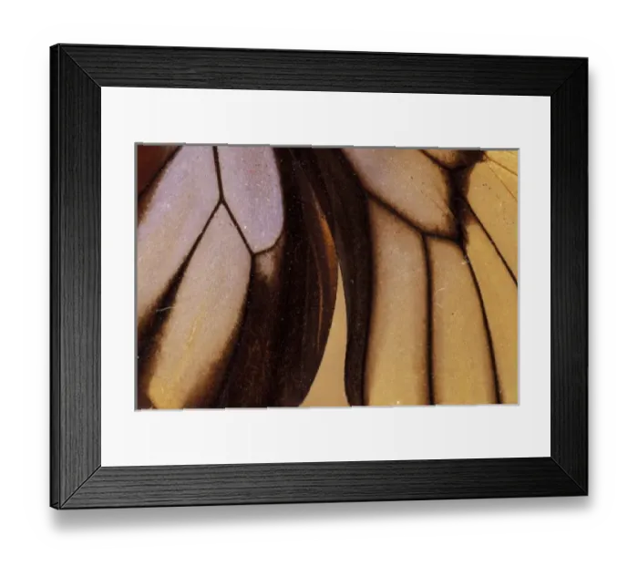 Framed Print : South America, Peru Framed Print : South America, Peru