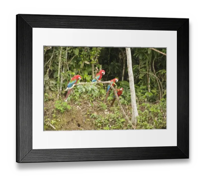 Framed Print : South America, Peru Framed Print : South America, Peru