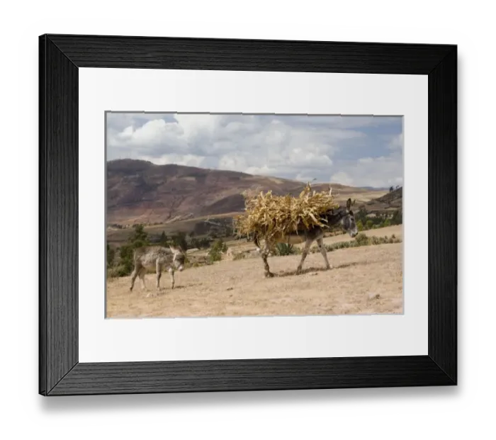 Framed Print : South America, Peru Framed Print : South America, Peru