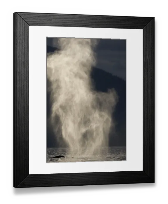 Framed Print : USA, North America, Alaska