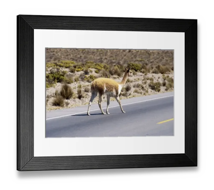 Framed Print : South America, Peru Framed Print : South America, Peru