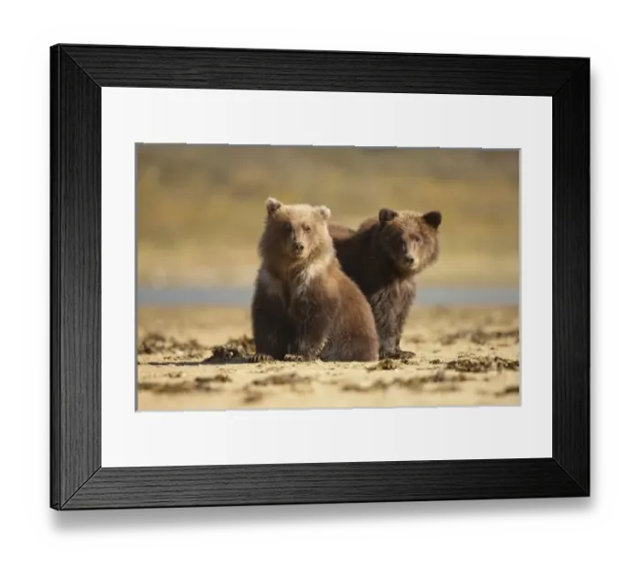 Framed Print : USA, North America, Alaska Framed Print : USA, North America, Alaska