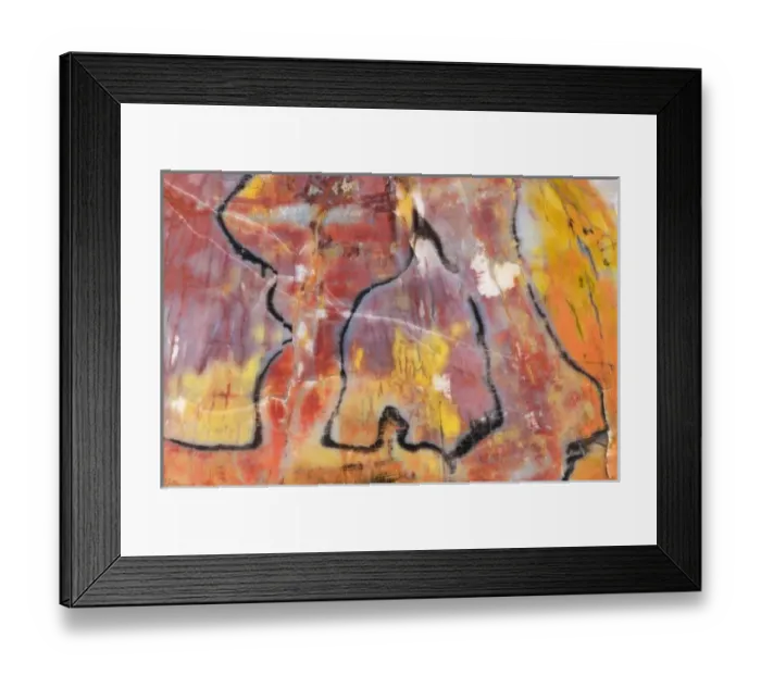 Framed Print : USA, Arizona. Close-up of petrified wood Framed Print : USA, Arizona. Close-up of petrified wood