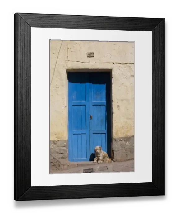 Framed Print : South America - Peru. Blue residential door with dog in Cusco Framed Print : South America - Peru. Blue residential door with dog in Cusco
