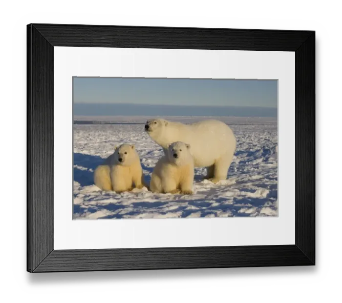 Framed Print : USA, North America, Alaska Framed Print : USA, North America, Alaska