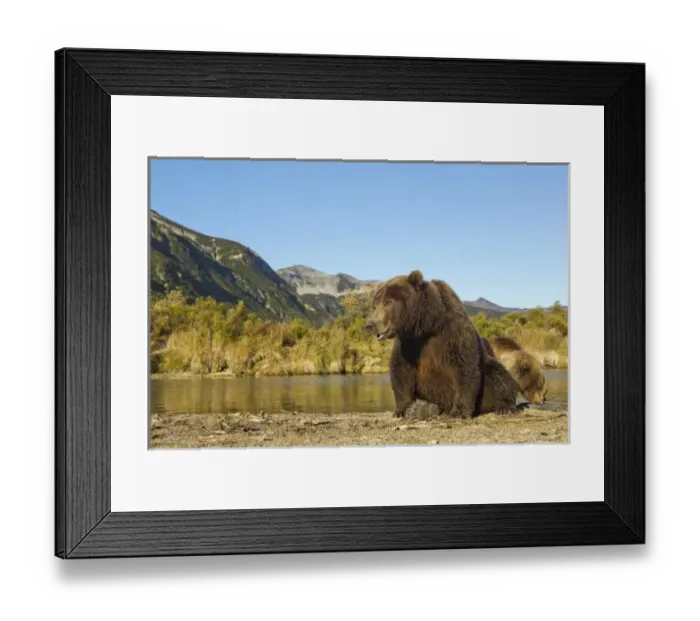 Framed Print : USA, North America, Alaska