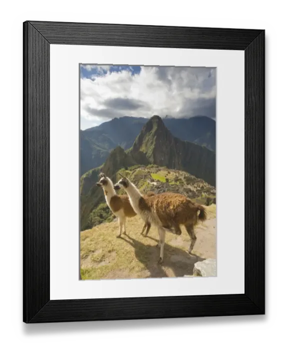 Framed Print : South America, Peru Framed Print : South America, Peru