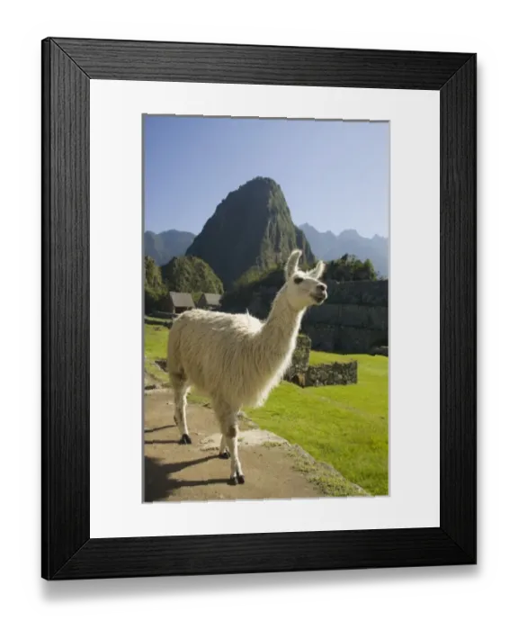 Framed Print : South America, Peru Framed Print : South America, Peru