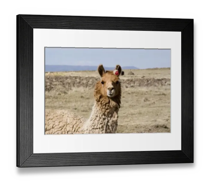 Framed Print : South America, Peru Framed Print : South America, Peru