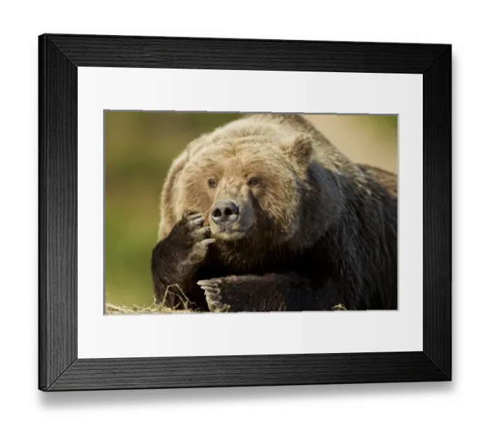 Framed Print : USA, North America, Alaska