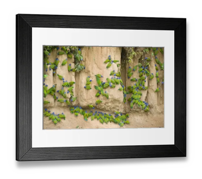 Framed Print : South America, Peru Framed Print : South America, Peru