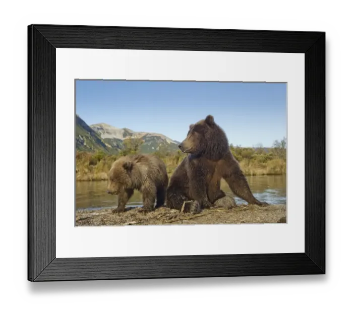 Framed Print : USA, North America, Alaska