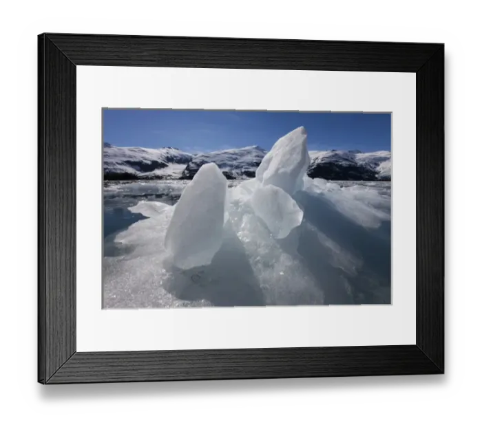 Framed Print : USA, Alaska, Morning sun lights icebergs floating near Blackstone Glacier in Prince Framed Print : USA, Alaska, Morning sun lights icebergs floating near Blackstone Glacier in Prince