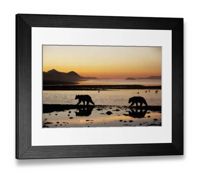 Framed Print : USA, North America, Alaska Framed Print : USA, North America, Alaska