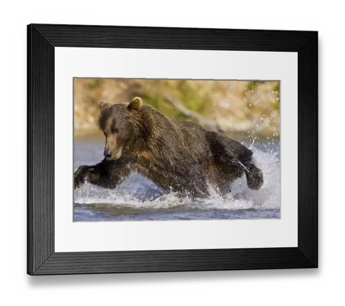 Framed Print : USA, North America, Alaska