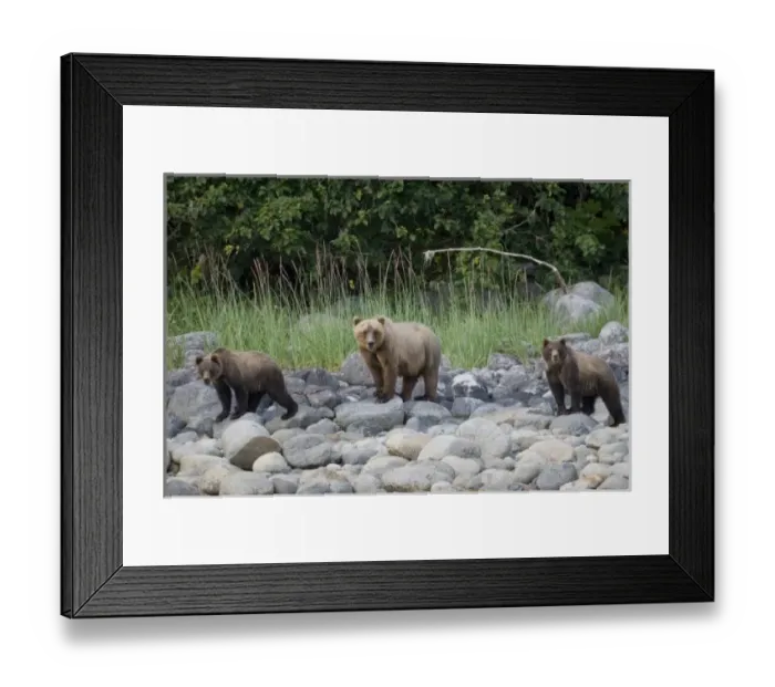 Framed Print : USA, North America, Alaska Framed Print : USA, North America, Alaska