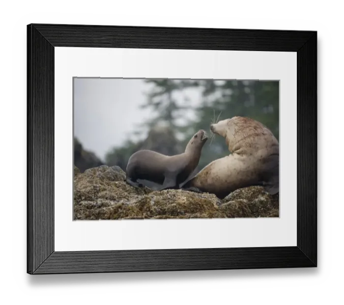 Framed Print : USA, North America, Alaska Framed Print : USA, North America, Alaska