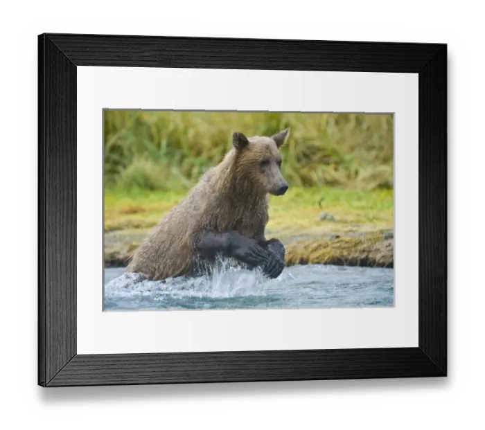 Framed Print : USA, North America, Alaska Framed Print : USA, North America, Alaska