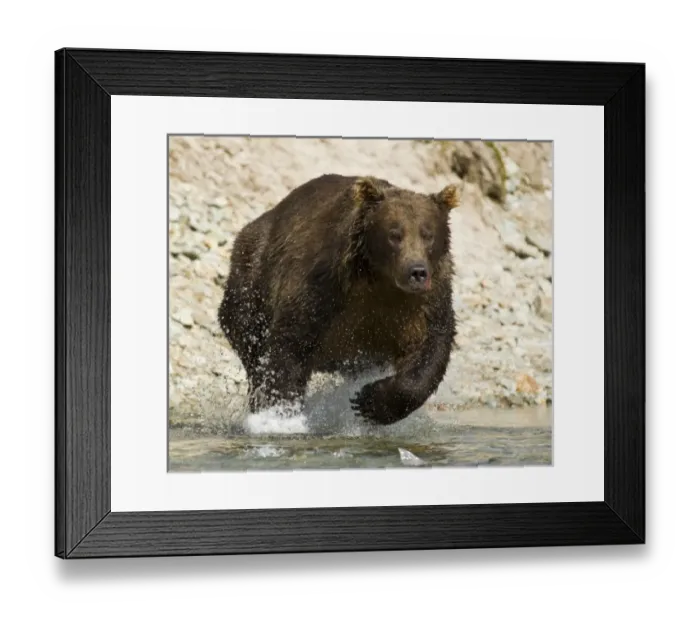 Framed Print : USA, North America, Alaska