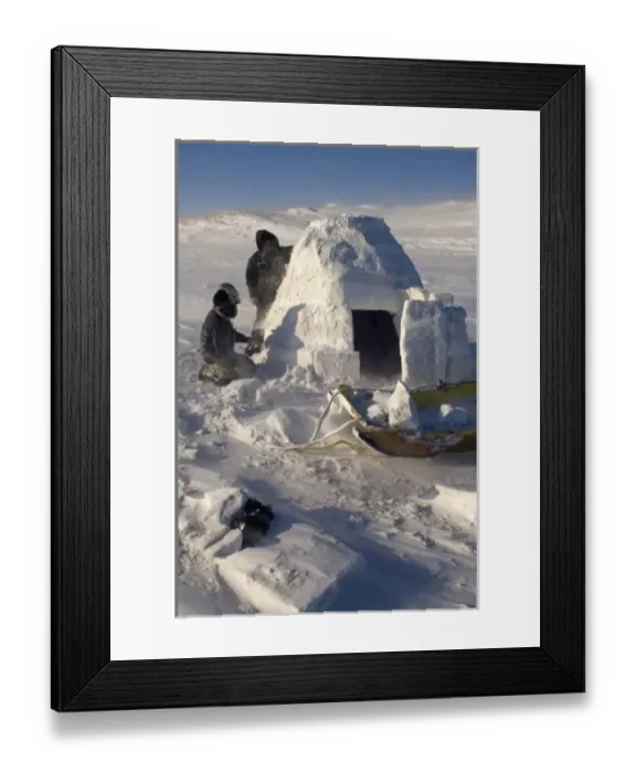 Framed Print : inupiat guides Bruce Inglangasak and Jack Kayotuk finish building an igloo snow blind