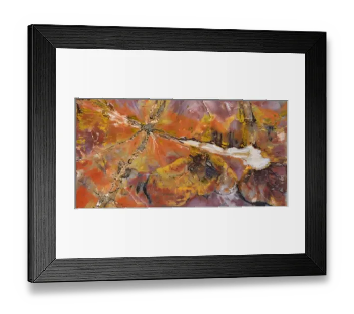 Framed Print : USA, Arizona. Close-up of petrified wood Framed Print : USA, Arizona. Close-up of petrified wood
