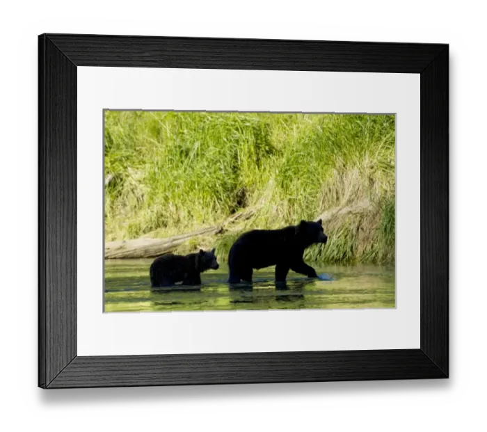 Framed Print : USA, North America, Alaska Framed Print : USA, North America, Alaska