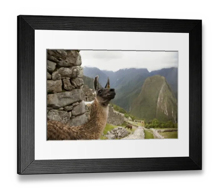 Framed Print : South America, Peru Framed Print : South America, Peru